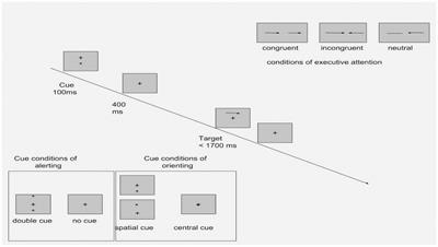 Efficiency of attentional processes in attention network theory and autistic symptoms in adolescents with autism spectrum disorder